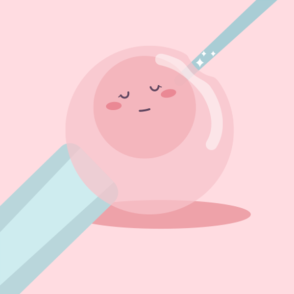 培養液の中で受精卵を育てる