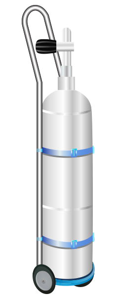 受精卵の冷凍保存