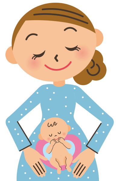 女性の生殖器である子宮・卵巣、女性ホルモンの働きを知りましょう