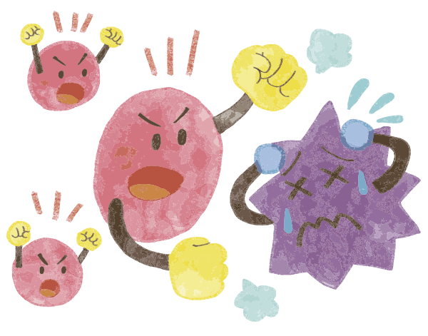 雑菌の侵入をシャットアウト